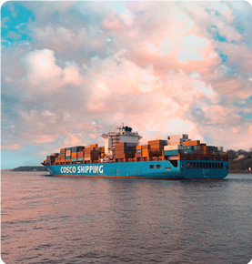 Sed mollis elementum lectus rhoncus mollis elementum lectus rhoncus mollis elementum lectus rhoncus 